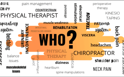 A physical therapist or a chiropractor?