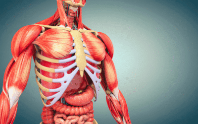 Physical Therapy for SIBO Symptoms